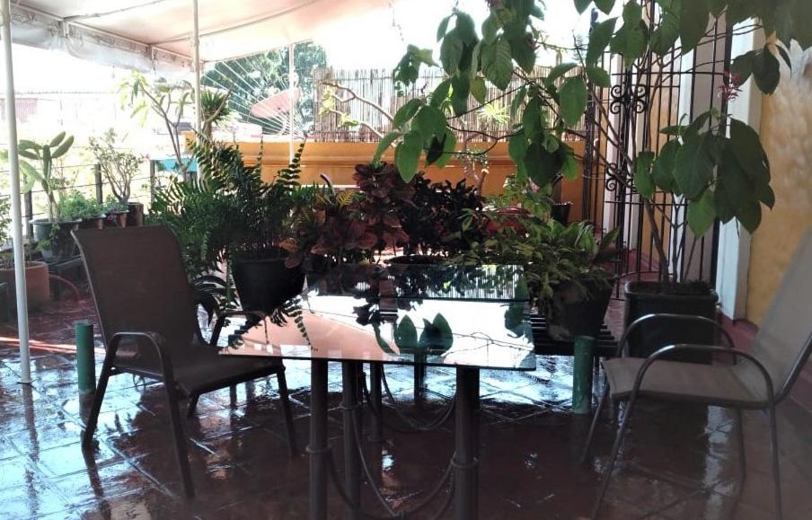 Hotel Boutique Casa Catrina オアハカ州 エクステリア 写真