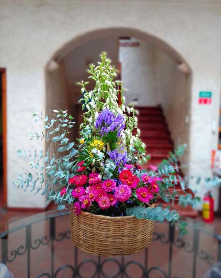 Hotel Boutique Casa Catrina オアハカ州 エクステリア 写真